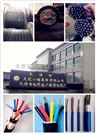 济南 CEFRP 3*16+2*6 船用控制电缆CEF/82