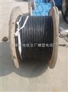 厂家供应CEFRP2*95 船用照明电缆
