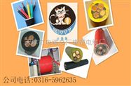 通讯电缆MHYVP2*2*7/0.28价格查询MHYVP煤矿用信号电缆