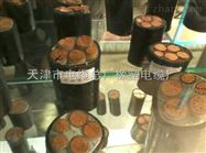 TVR2*120 行车吊篮电缆