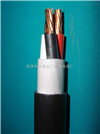 总屏蔽电缆DJYVP 450V 6*1*0.5 计算机电缆