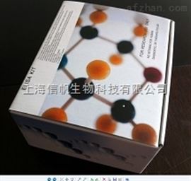 三碘甲腺原氨酸（T3）酶免检测服务现货供应